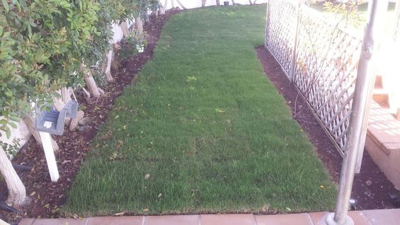 jardin artificial