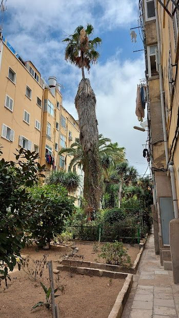 podas2